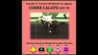 Vidéo de la course PMU PRIX INUSUAL
