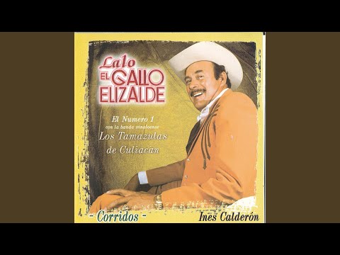 TRAGEDIA DE SINALOA