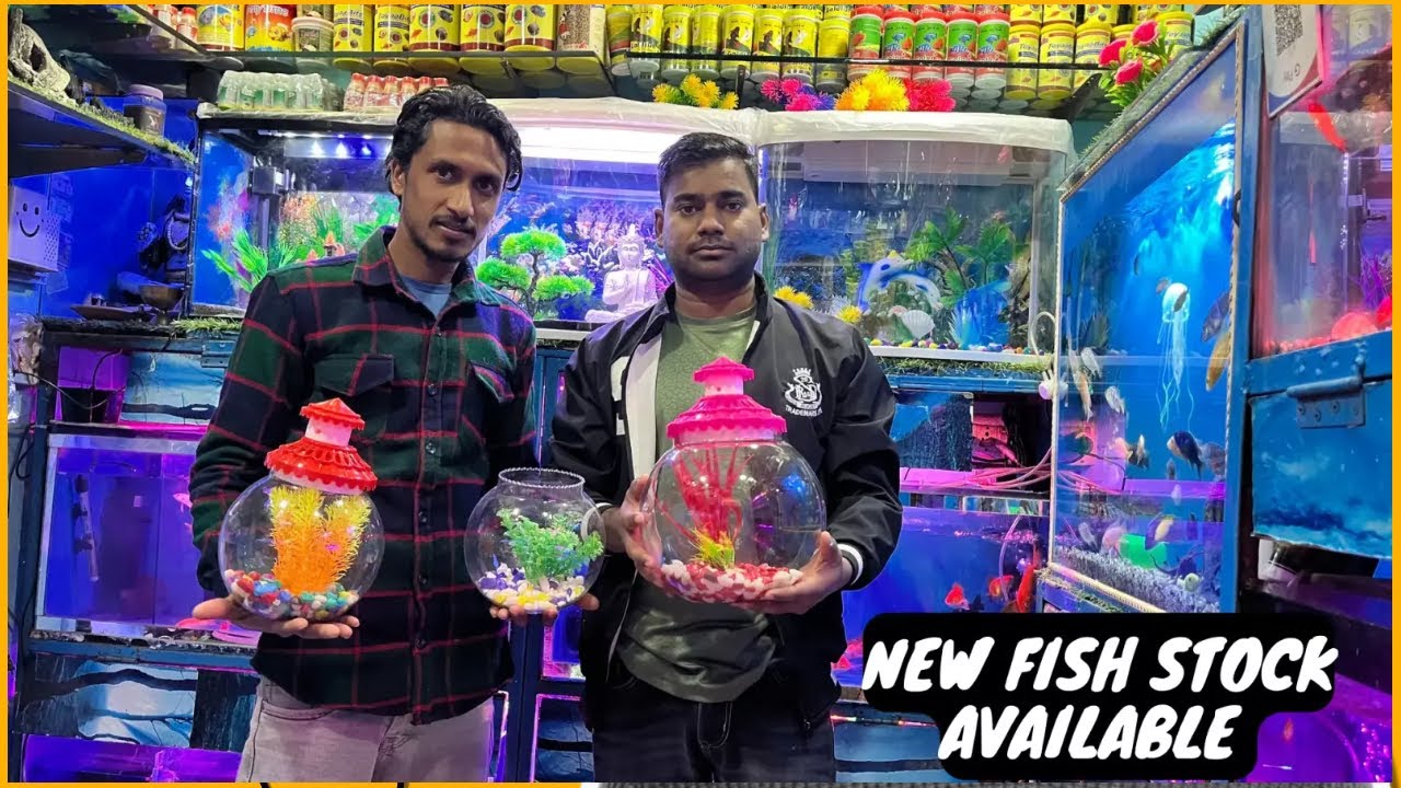 Deepak Fish Aquarium Exotic Fish Fish Shop Fish Aquarium Shop In