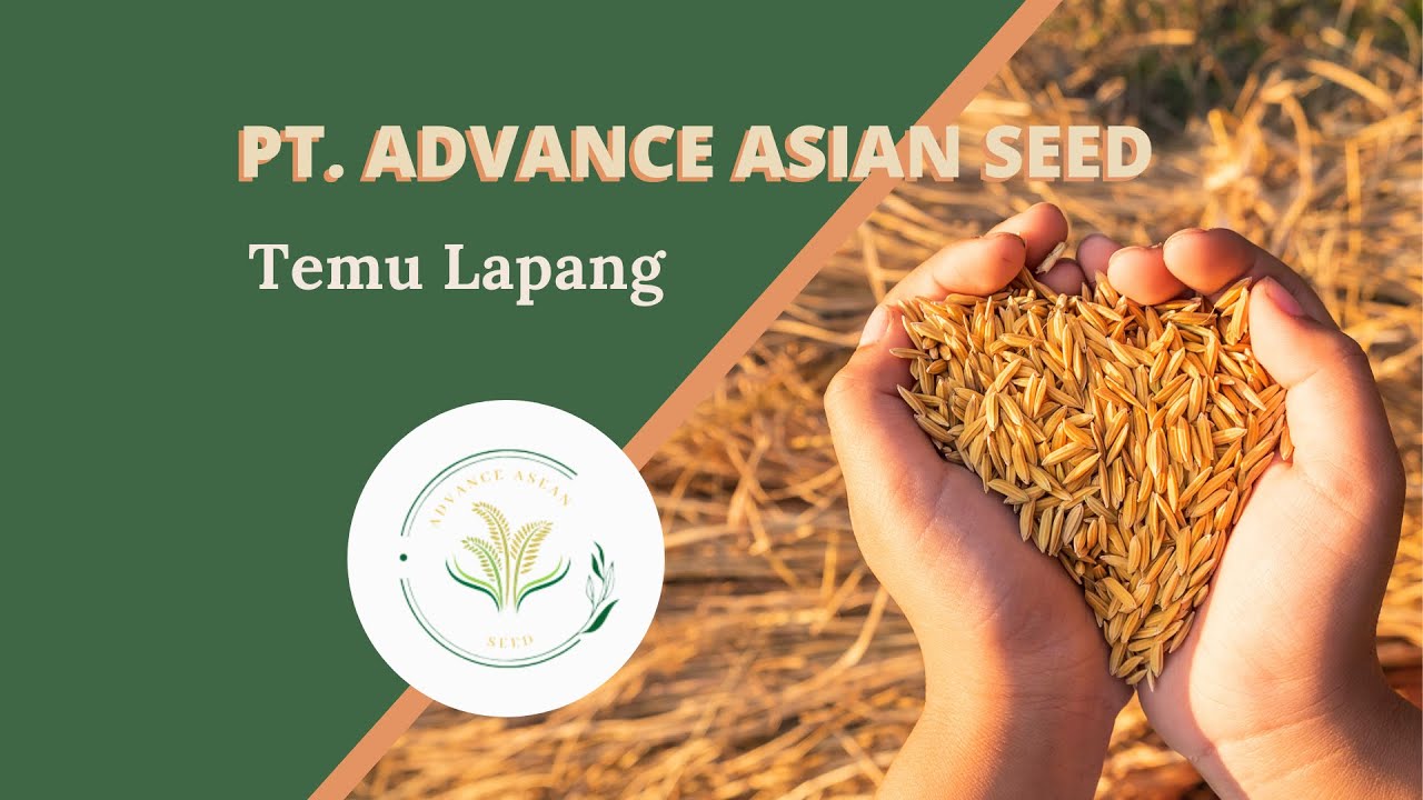 PT Advance Asean Seed Indonesia Temu Lapang 2021 YouTube