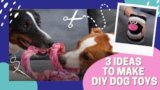 3 Easy and Cheap DIY Dog Toys || Made From Socks \& Old Clothes