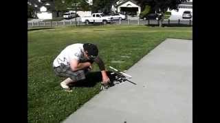 My new E-Flite  Blade 450  3D