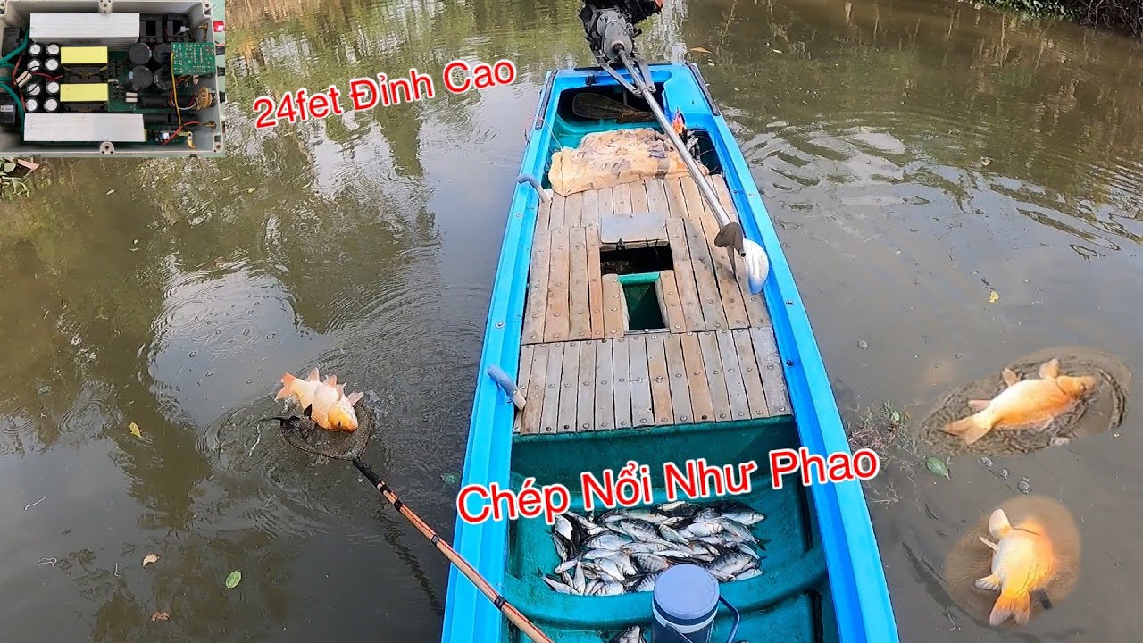 Đẳng Cấp Thả Cáp 1 Vợt Kích Điện Tử 24fet Chép Nổi Như Phao | Kích Cá Miền Tây | Catch Fish