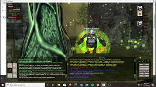 Classic Everquest - Ding Level 50 Necromancer Solo Grobb Troll Guards - P99 Green