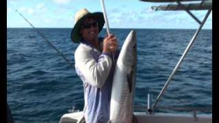 Floating Baits For Spanish Mackerel