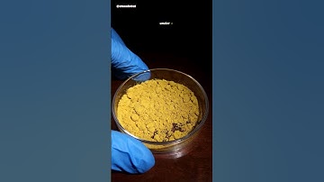 Bee Pollen Under Microscope