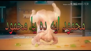 رقص فرخة على مهرجان محمود ايه دة يا محمود هتضحك حتى البكاء