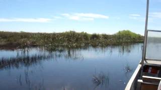 Gator Park Airboat ride at Everglades 26.2. 2010
