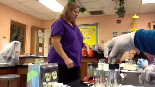 Lab 9 part 2