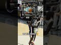 HEAD TAPS 🙆‍♂️ #coloradobuffaloes #dunk #collegebasketball