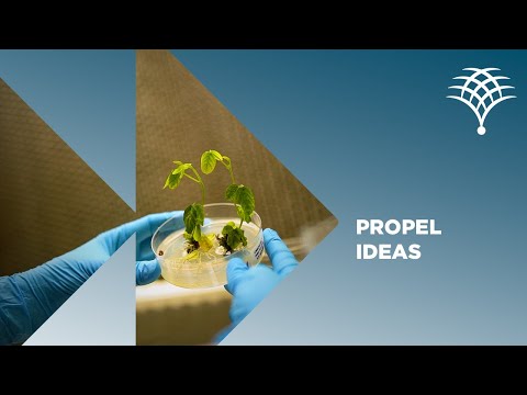 Propel Ideas