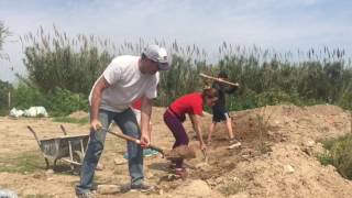 Service Learning Week 2016 - Buenos Aires Projects