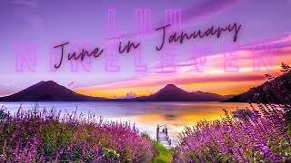 Luu Nineleven || June in January