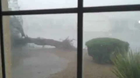 TREE FALLING GLENDORA DRIVE video 2012 07 29 14 15...