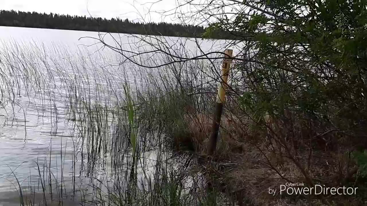 Kimball Lake Interpretive Trail
