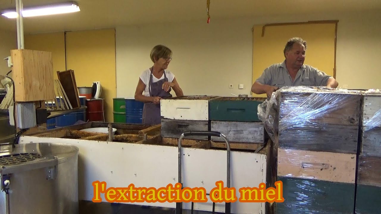 EXTRACTION DU MIEL 3e partie #15