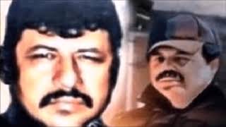 Download El Día Que El Macho Prieto Salió A Cazar A Manuel Torres Félix El Ondeado Video MP3 El Día Que El Macho Prieto Salió A Cazar A Manuel Torres Félix El Ondeado