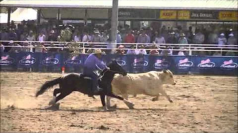 Warwick 2015, Canning Downs Final, Marnies Destiny...