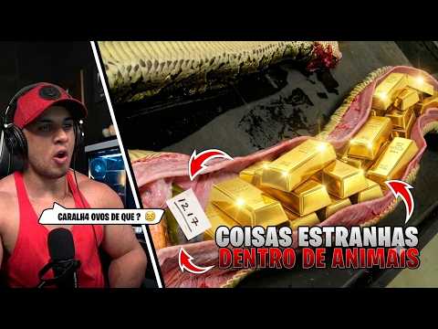21 COISAS ESTRANHAS ENCONTRADAS DENTRO DE ANIMAIS! HUDSON AMORIM REAGINDO