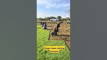 Green lawn mining process- Good tools and machinery can increase work efficiency