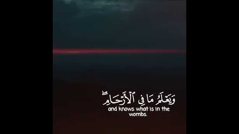 تلاوة خاشعة للقرآن الكريم - مقاطع انستغرام دينية