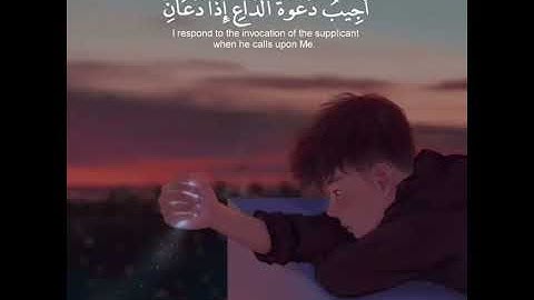 تلاوه خاشعه | بصوت القارئ سعد الغامدي | حالات واتس اب دينيه♥♥.