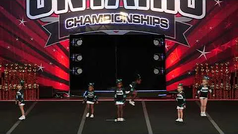 Cheer Sport Sharks Pocket Sharks Tiny 1