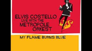 Elvis Costello &amp; Metropole Orchestra Almost Ideal Eyes (live)