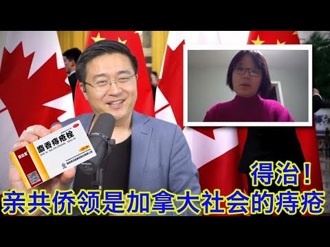 加拿大时评人林雯：亲共侨领就是加拿大社会的痔疮，得治！