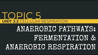 AP Biology: Anaerobic Pathways (Fermentation & Aerobic Respiration)