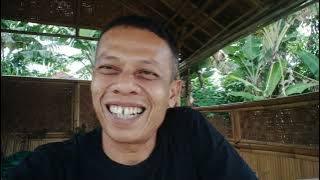 BAKAR PRODUCTION TERBARU TAYANG BOLO 