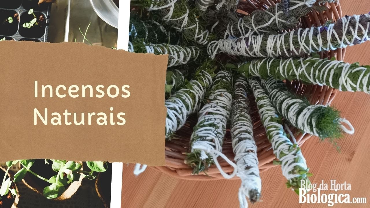 Como Fazer Incensos Naturais com Ervas Aromáticas