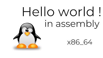 Hello world ! in assembly | NASM x86_64