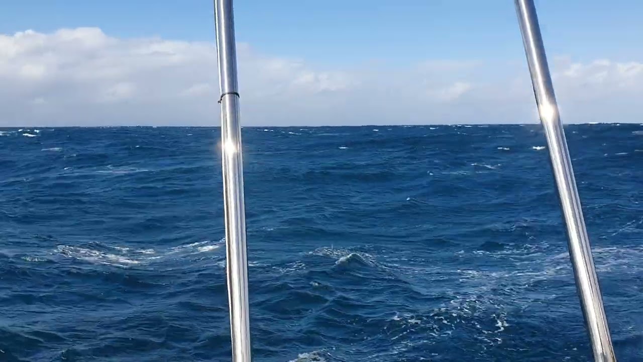 176 - 4th July 2024  Delivery  Coffs to Gold Coast