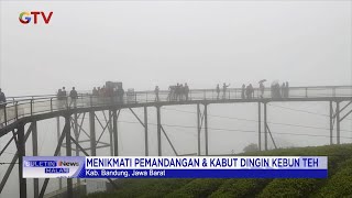 Nikmati Indahnya Pemandangan dan Kabut Dingin Wisata Kebun Teh di Bandung #BuletiniNewsMalam 09/01