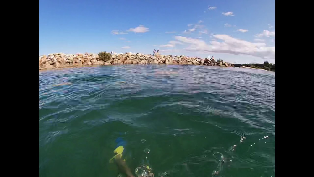 SNORKELLING NAMBUCCA HEADS vwall