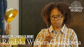 RÓŻDŻKA WYBIERA CZARODZIEJA (IRL) | Harry Potter Magiczne Chwile Filmowe