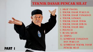 How to learn pencak silat | Basic Silat Techniques PART 1 screenshot 2