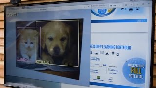 Intel's Object Recognition Software getting really good at telling cats from dogs | SXSW 2017