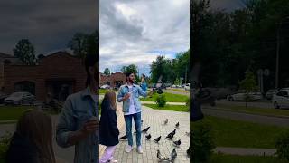 ГОЛУБЬ #shortvideo #birds #walking