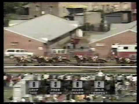 فيديو: مهرة للأعمار: راشيل ألكسندرا تأخذ Preakness Stakes بواسطة العاصفة