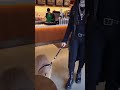 A German male goth walking a capybara in Starbucks #shortvideo #shortsfeed #shorts