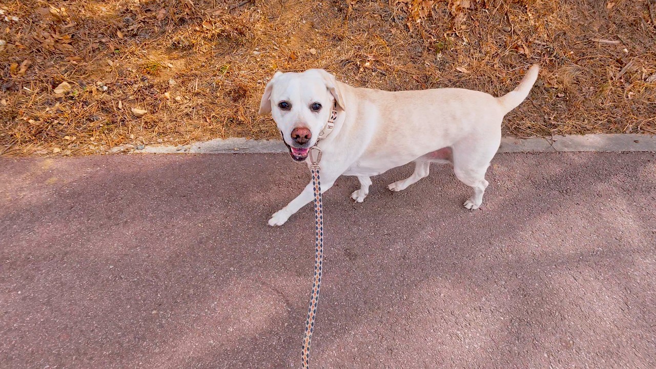 공이공이산책log