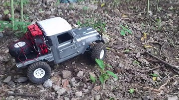 RC WPL C34KM in Backyard