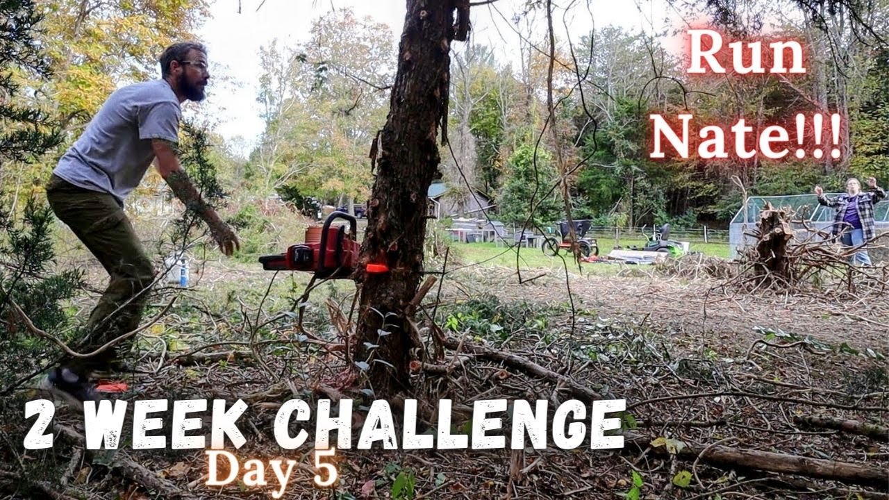 A Close Call on Day 5 of our 2 Week Challenge