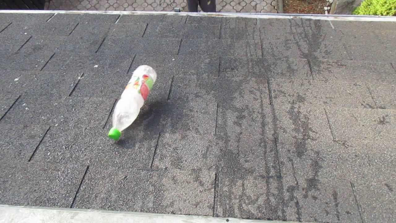 Blaznenie z Endym a Jurom - YouTube