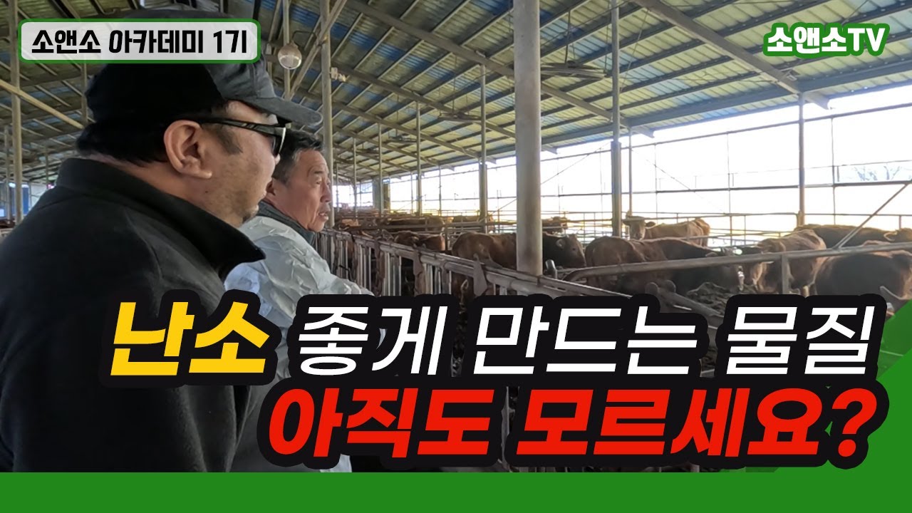 번식우 난소 좋게 만드는 물질 아직도 모르세요?