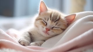 Музыка для нервных кошек — успокаивающая музыка для сна, музыка для глубокого расслабления вашего