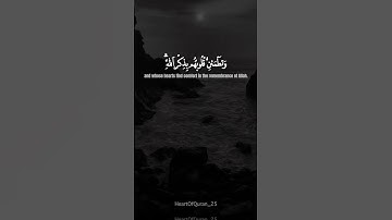 سورة الرعد || آية 28 || صفحة 252 بصوت هزاع البلوشي