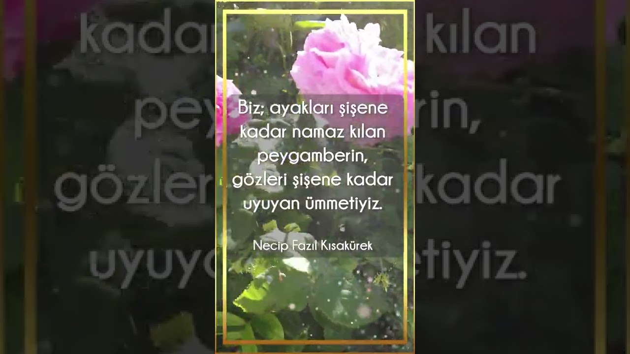 Efendimin Düğünü var Cennette Cennette